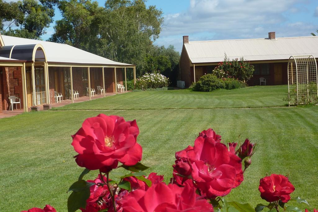 Coonawarra Place Motor Inn Zewnętrze zdjęcie