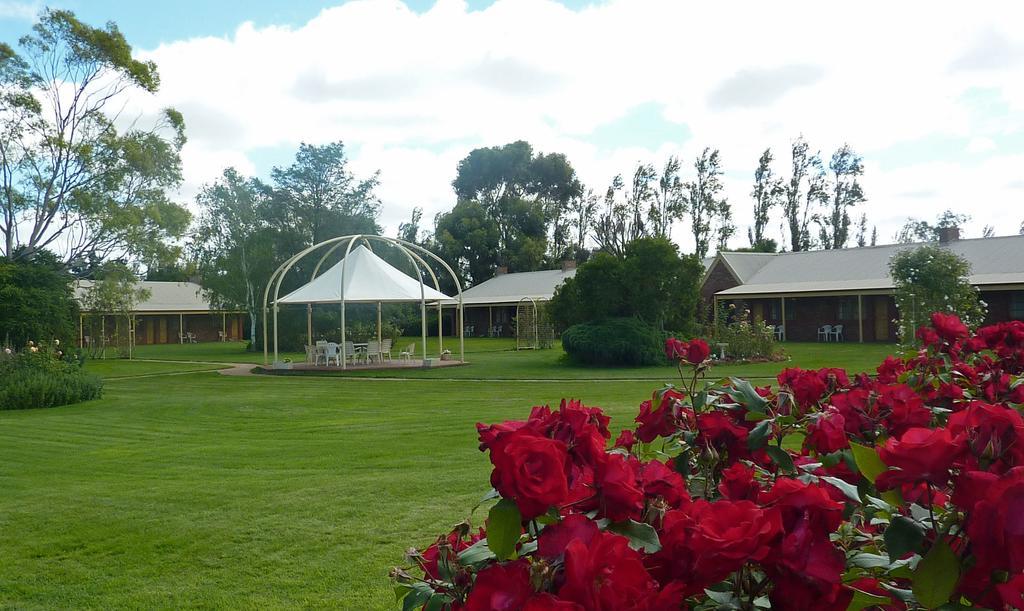 Coonawarra Place Motor Inn Zewnętrze zdjęcie