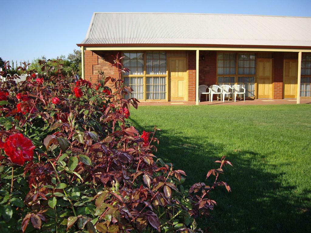Coonawarra Place Motor Inn Zewnętrze zdjęcie