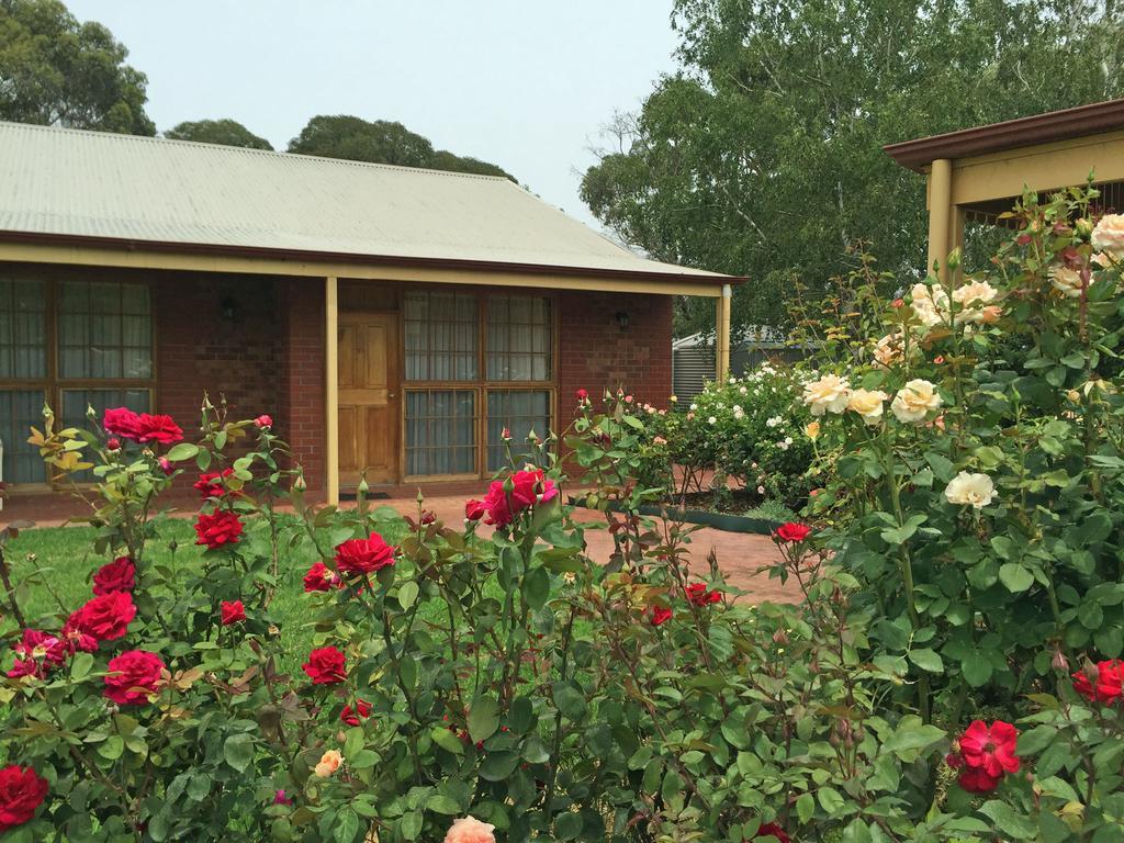 Coonawarra Place Motor Inn Zewnętrze zdjęcie