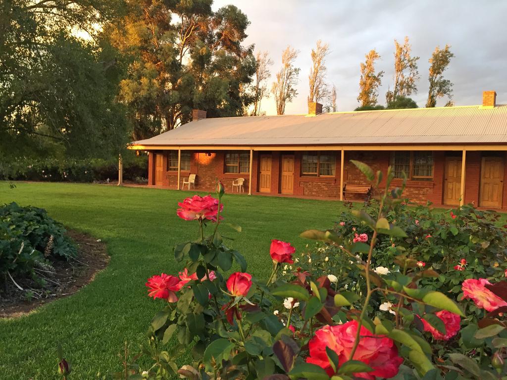Coonawarra Place Motor Inn Zewnętrze zdjęcie