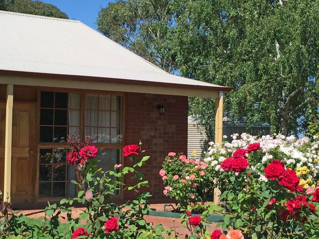 Coonawarra Place Motor Inn Zewnętrze zdjęcie