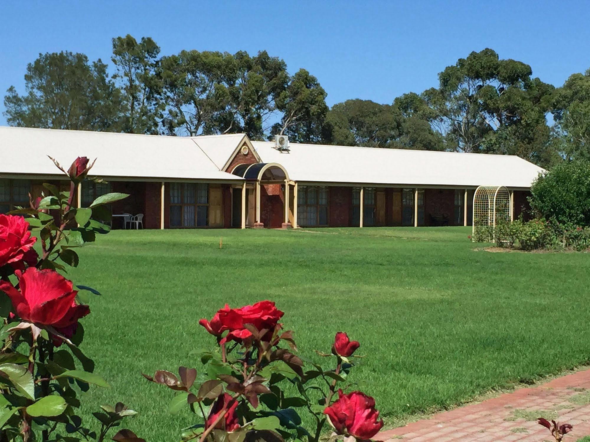 Coonawarra Place Motor Inn Zewnętrze zdjęcie