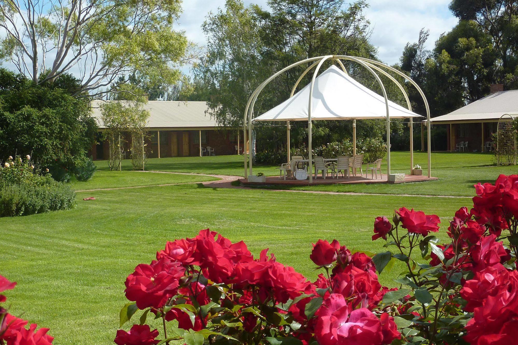 Coonawarra Place Motor Inn Zewnętrze zdjęcie