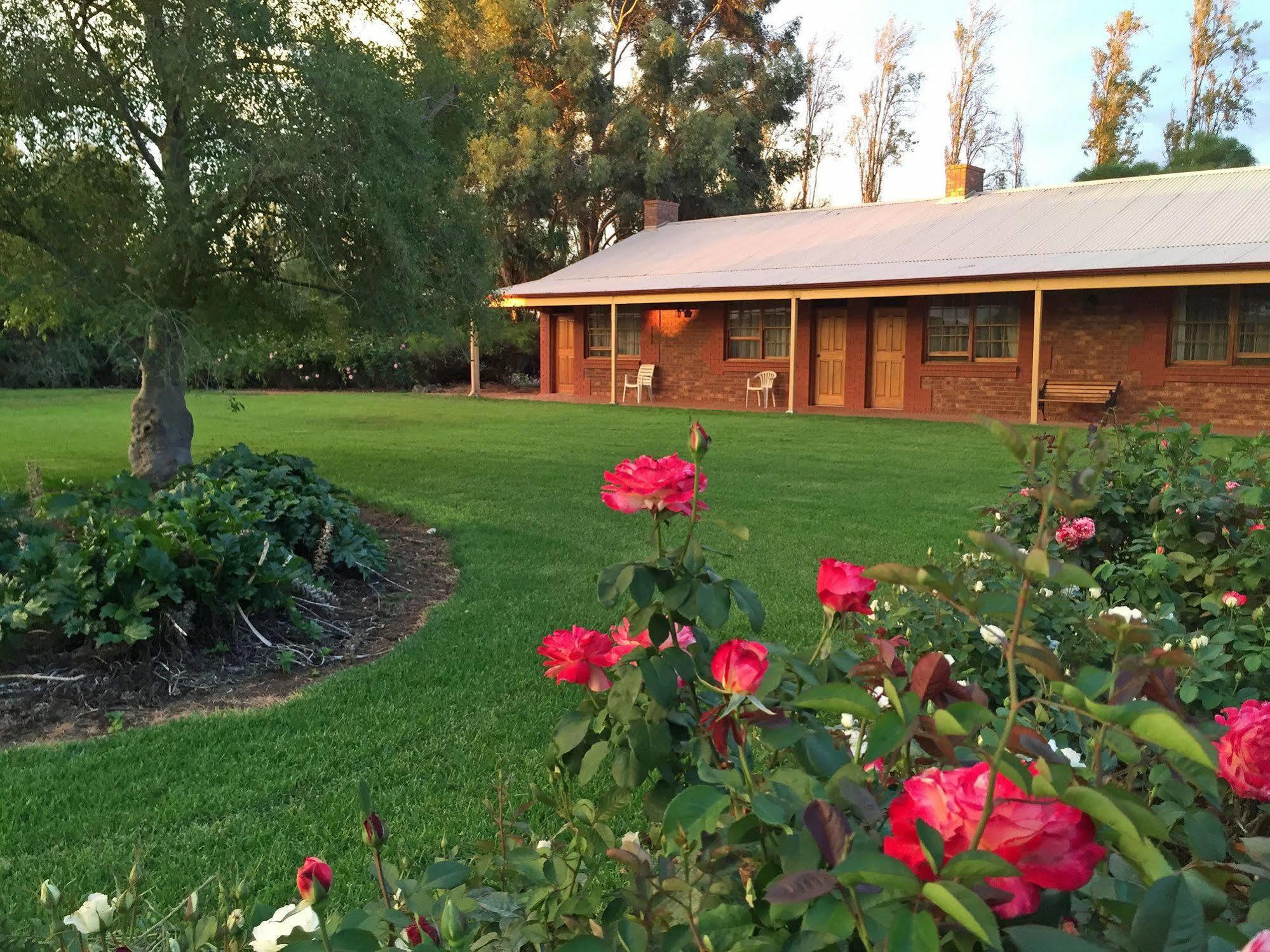 Coonawarra Place Motor Inn Zewnętrze zdjęcie