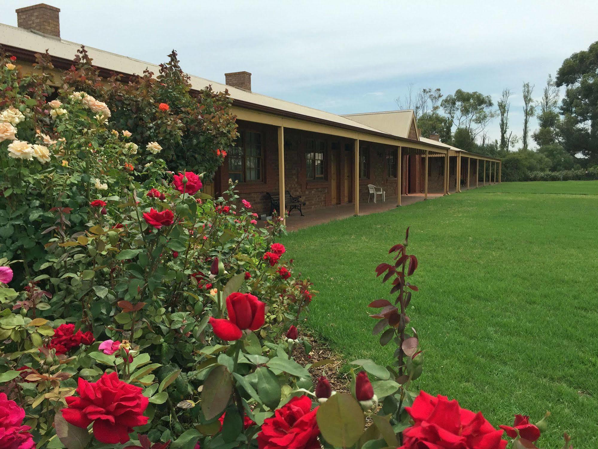 Coonawarra Place Motor Inn Zewnętrze zdjęcie