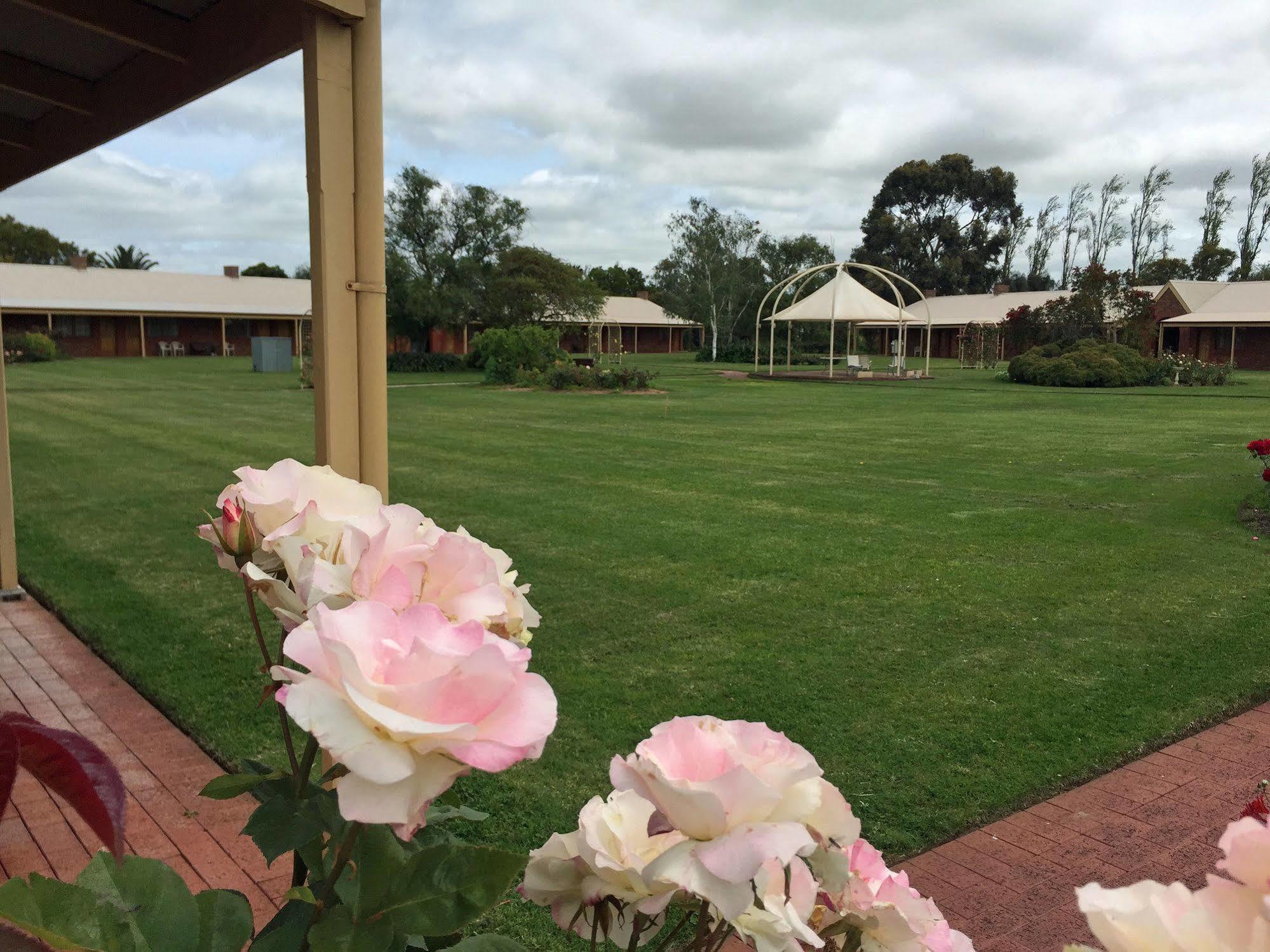 Coonawarra Place Motor Inn Zewnętrze zdjęcie